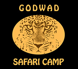 GODWAD SAFARI CAMP :: JAWAI, RAJASTHAN, INDIA
